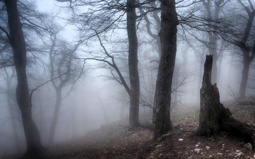 1753685 (a): :1920x1200